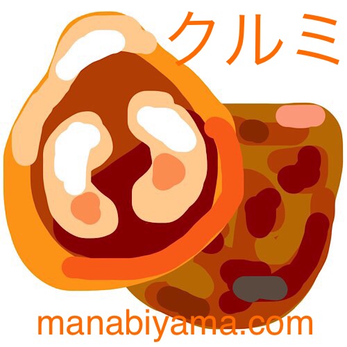 ”絵しりとり・クルミ”